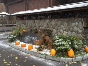 s_IMG_0207