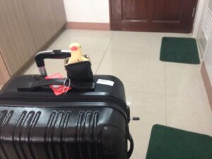 s_IMG_0767