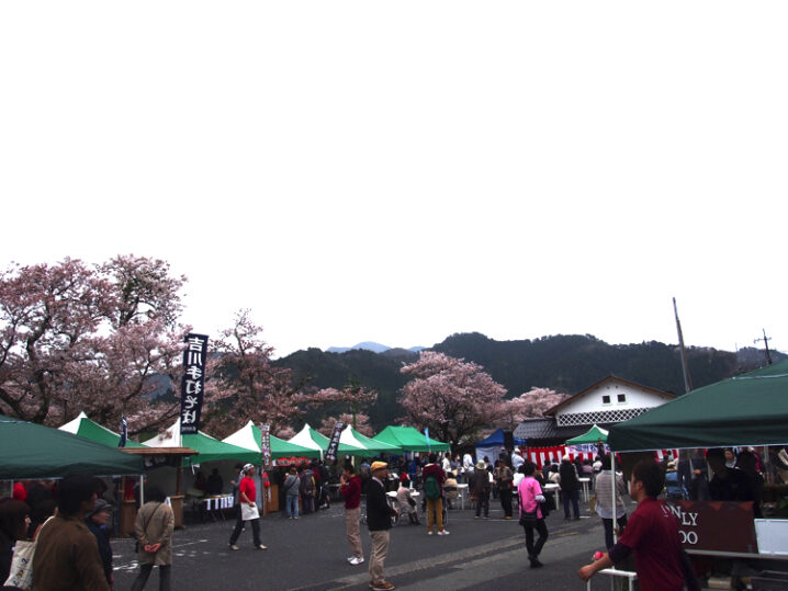 wakasa-sakura-festival60