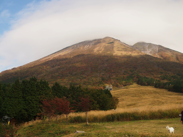 daisen-koyo3