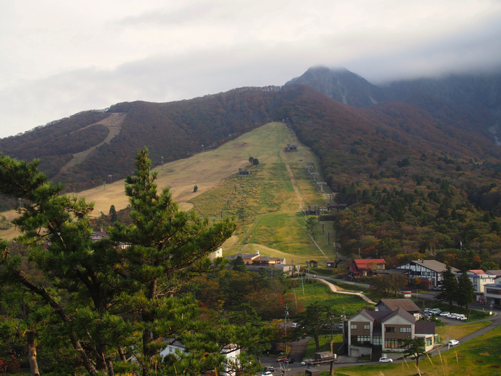 daisen-koyo4