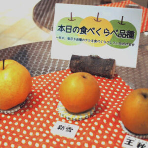 梨の試食が１年中楽しめる！「鳥取二十世紀梨記念館 なしっこ館」に行ってきました。- 倉吉市