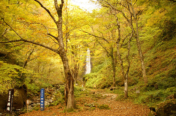 年鳥取県の紅葉スポットまとめ 名所と見頃の時期をご紹介 とっとりずむ