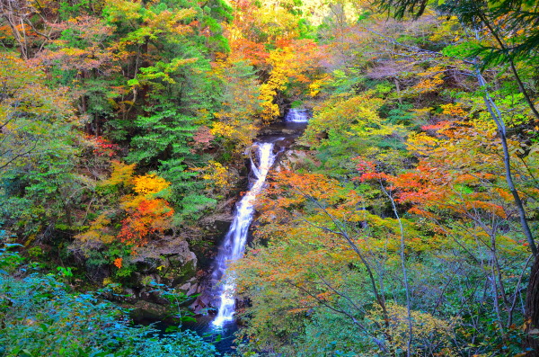 年鳥取県の紅葉スポットまとめ 名所と見頃の時期をご紹介 とっとりずむ