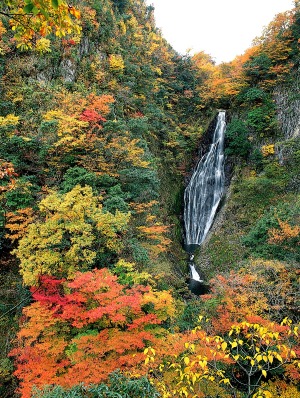 年鳥取県の紅葉スポットまとめ 名所と見頃の時期をご紹介 とっとりずむ