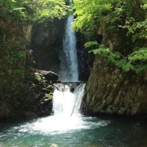 ［大山滝］県下最大の名滝まで森林浴でハイキング。 – 琴浦町