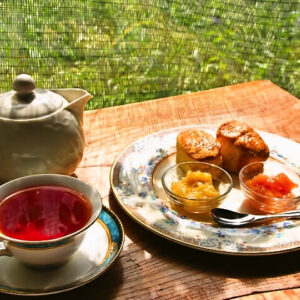 ［ダウラ］全国から紅茶好きが集う！日本でも数少ない紅茶専門店。- 鳥取市