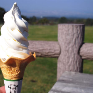 ［大山まきばみるくの里］絶品ソフトクリームが人気！大山の自然を満喫できる観光スポット。- 伯耆町