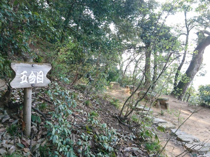 久松山 初心者や子供でも気軽に登山を楽しめる標高263mの山 鳥取市 とっとりずむ