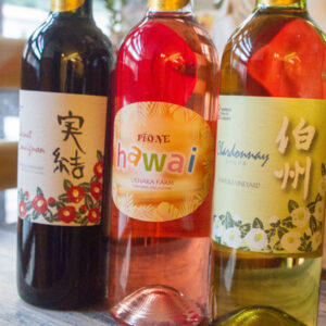［倉吉ワイナリー］ぶどうの栽培から醸造まですべて鳥取にこだわったワイン – 倉吉市
