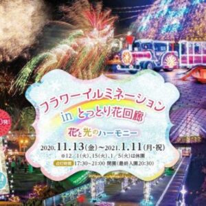 【2020年】鳥取の冬のおでかけに!フラワーイルミネーションinとっとり花回廊
