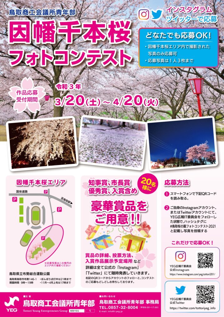 布勢運動公園の桜を撮影してsnsで投稿 因幡千本桜フォトコンテスト 開催中 とっとりずむ