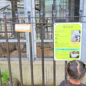 ［真教寺公園］動物に会える！砂場で遊べる！鳥取市中心部にある公園 ‐ 鳥取市