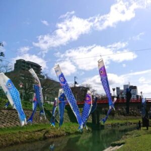鳥取市の袋川沿いで「青い鯉のぼりプロジェクトin鳥取」が今年も開催中（3月27日〜4月3日）