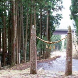 ［杉神社］杉を祀る神社の奥には雄大な滝。｜智頭町