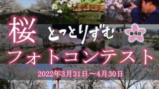 鳥取県の桜 お花見スポット22 地元民が教える鳥取の桜名所まとめ とっとりずむ