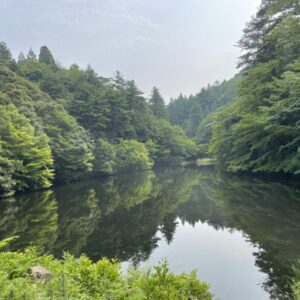 ［樗谿公園］親子で気軽にお散歩ハイキング！森林浴でリフレッシュ｜鳥取市