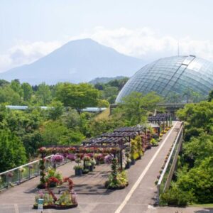 ［とっとり花回廊］鳥取の定番観光スポットで初夏の花を楽しむ2022｜南部町