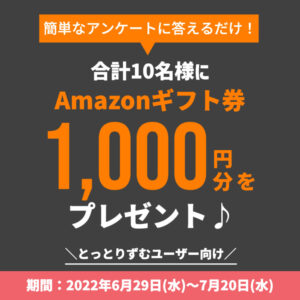 【Amazonギフト券1,000円分が当たる】日々の暮らしに関するアンケート