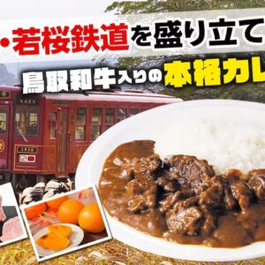 【クラウドファンディング】達成率350%超!鳥取和牛×若桜鉄道カレーの豪華リターン(新パッケージ版)をお得に先行販売中(11月10日まで)