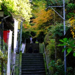 三朝町「三徳山」の紅葉がそろそろ見頃を迎えます！（11月3日撮影）