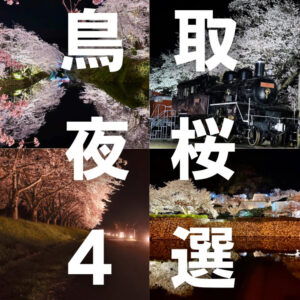 鳥取市・八頭郡でライトアップや夜桜を楽しめるスポット4選！
