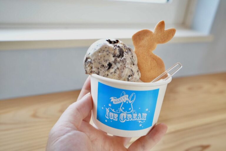 【開店】[MARTY’S ICE CREAM（マーティーズアイスクリーム）]2023年7月29日オープン！海岸沿いにあるアイスクリーム屋｜岩美