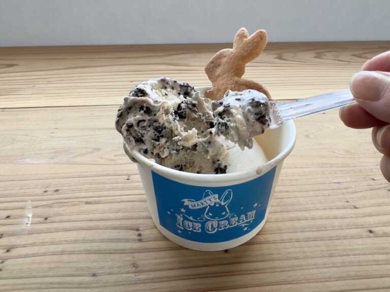 【開店】[MARTY’S ICE CREAM（マーティーズアイスクリーム）]2023年7月29日オープン！海岸沿いにあるアイスクリーム屋｜岩美