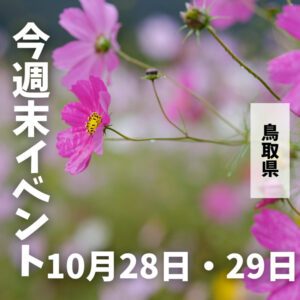 2023年10月28日(土)10月29日(日)鳥取週末イベントスケジュール