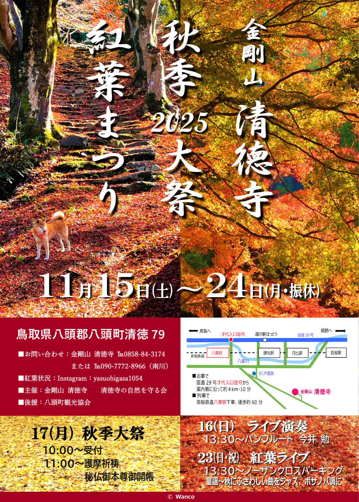 11月15日〜24日】秋を彩る「金剛山清徳寺紅葉まつり」が開催されます